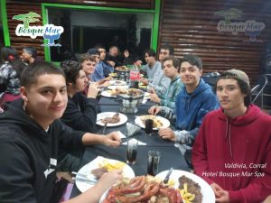 En Valdivia, Fotos Hotel Bosque Mar Spa